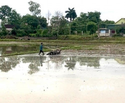 Nghệ An chủ động các giải pháp đảm bảo nước tưới vụ hè thu