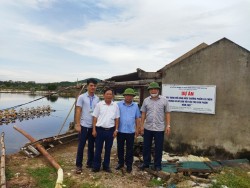 Lãnh đạo Sở Nông nghiệp và PTNT Nghệ An kiểm tra mô hình nuôi cá Chẽm tại hộ Ông Hồ Đình Lộc, Phường Mai Hùng, Thị xã Hoàng Mai