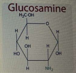 Glucosamine với bệnh xương , khớp