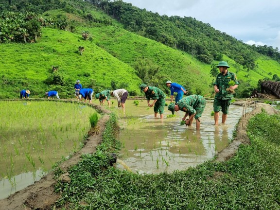 Nhiều hoạt động ý nghĩa hướng tới Đại hội Hội LHTN Việt Nam tỉnh Nghệ An