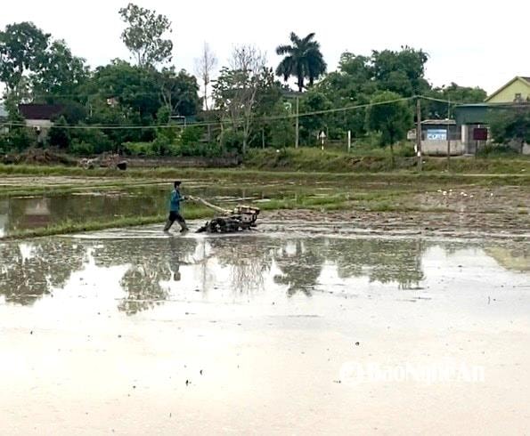 Nghệ An chủ động các giải pháp đảm bảo nước tưới vụ hè thu