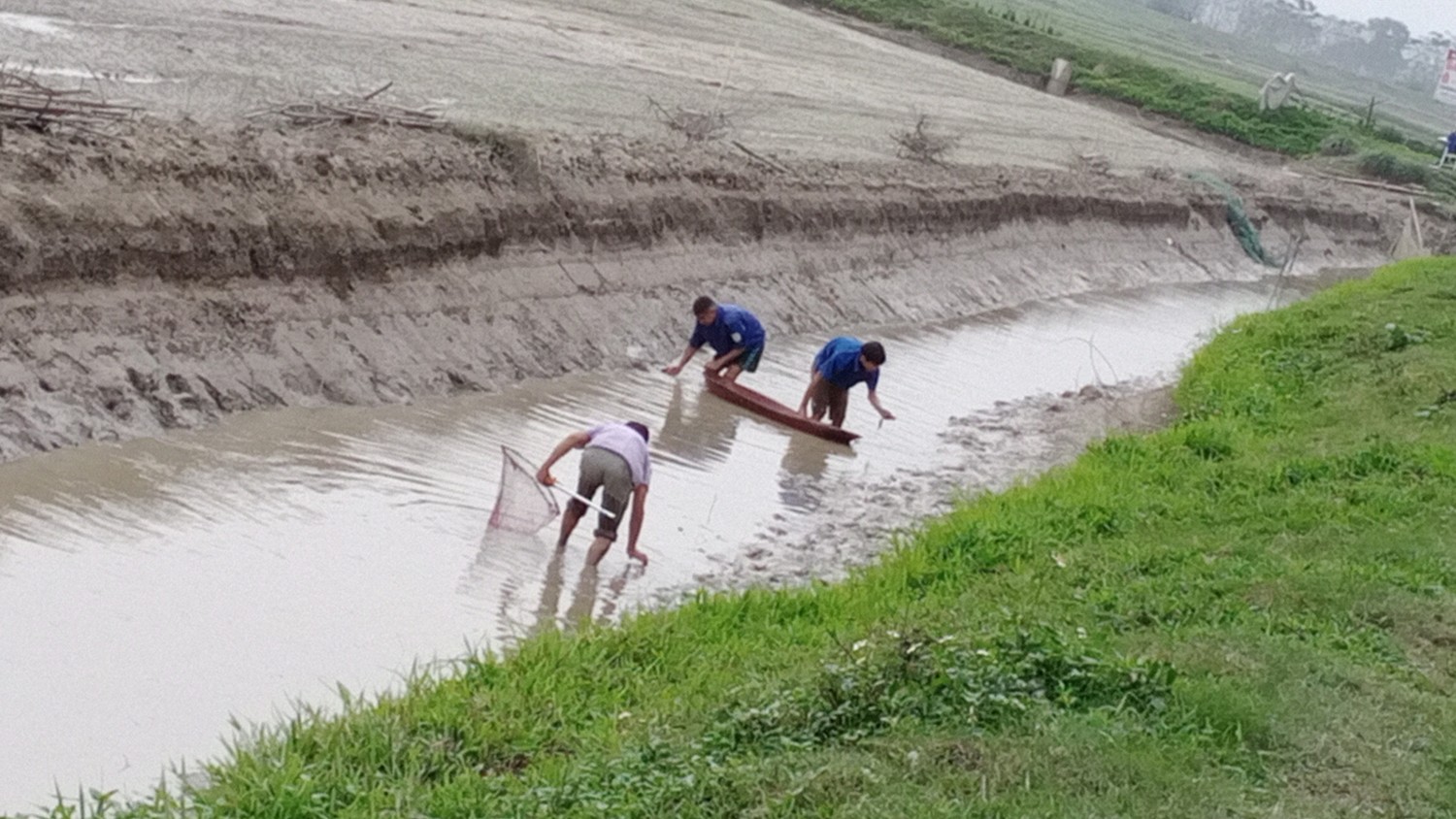 Thu hoạch tôm càng xanh tại hộ anh Nguyễn Văn Số xã thanh lĩnh huyện thanh chương