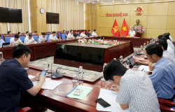 UBND tỉnh triển khai các giải pháp phòng chống dịch bệnh gia súc, gia cầm