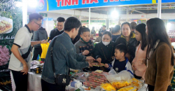 Nghệ An xem xét sửa đổi, nâng mức hỗ trợ hoạt động xúc tiến thương mại và phát triển xuất khẩu giai đoạn 2026-2030