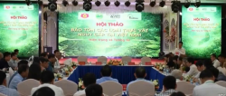 Hội thảo Khoa học: "Bảo tồn các loài thực vật nguy cấp tại Việt Nam: Hiện trạng và Tương lai"