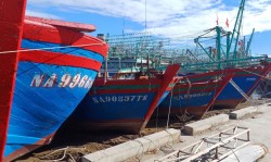 Nghệ An: Ban hành Nghị quyết về một số chính sách hỗ trợ cho tàu khai thác thủy sản vùng khơi giai đoạn 2023 - 2025