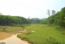 Khu vực đập Sặt xã Tiến Thành, huyện Yên Thành nguồn nước đã cạn kiệt (ảnh Văn Trường)