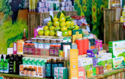 Sản phẩm OCOP trước yêu cầu đổi mới để phát triển bền vững