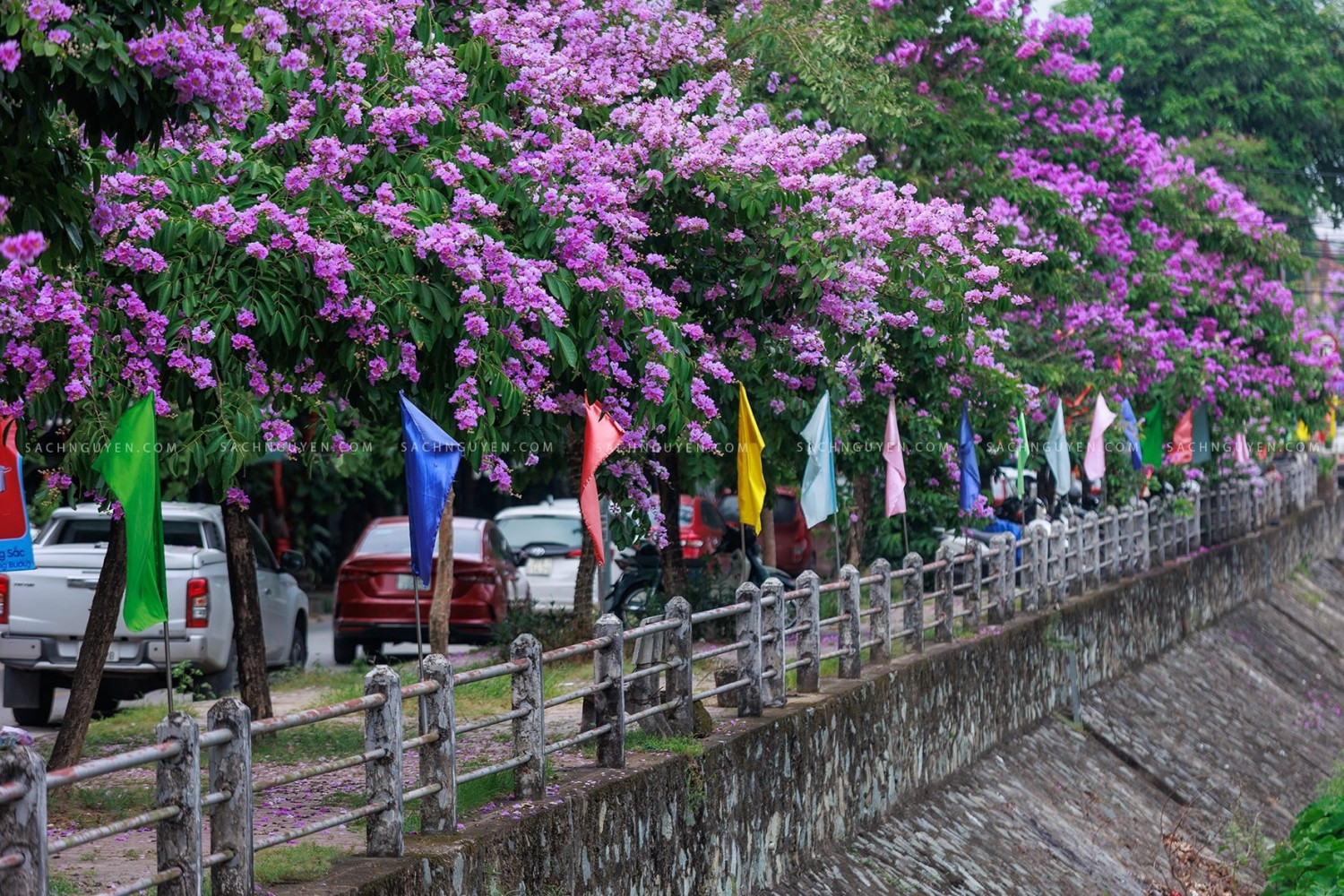 Tầm nhìn phát triển thành Vinh xanh