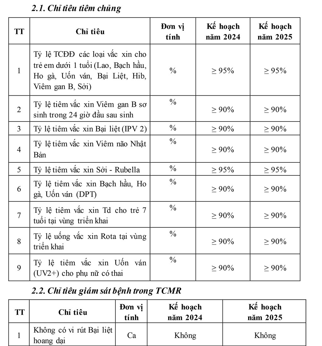 Tổ chức tiêm chủng mở rộng an toàn, hiệu quả giai đoạn 2024-2025 trên địa bàn tỉnh