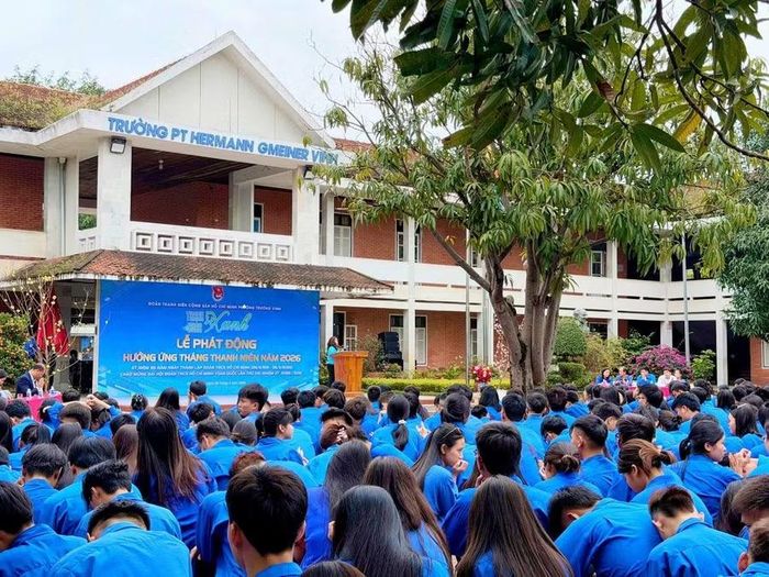 Nghệ An đẩy nhanh tiến độ chuyển đổi Trường PT Hermann Gmeiner sang công lập