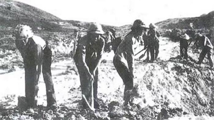 Nghệ An triển khai xét tặng, truy tặng Huy chương Thanh niên xung phong vẻ vang