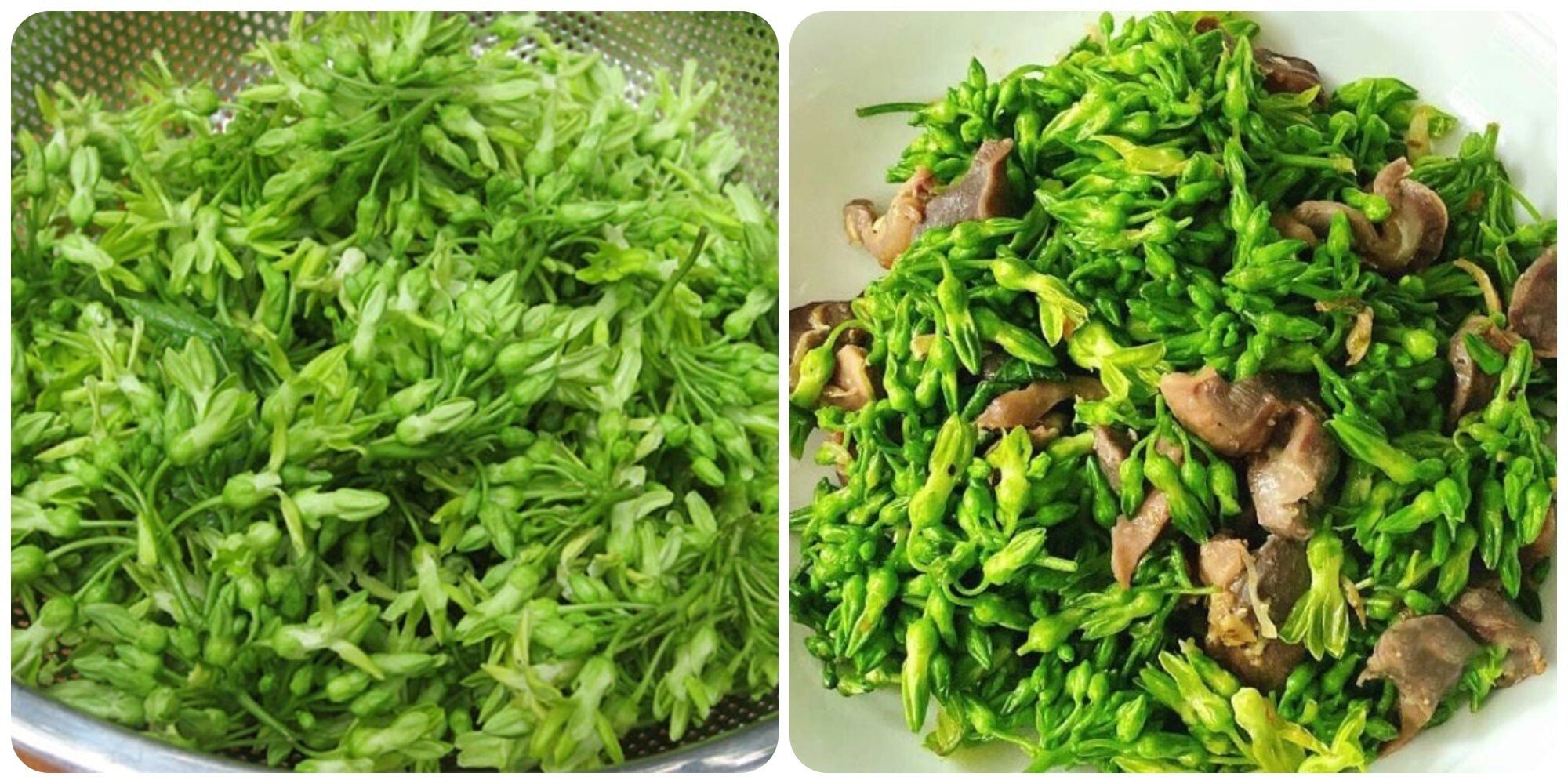 ​​​​​​​Bổ sung hoa thiên lý vào chế độ ăn uống rất tốt cho gan và thận.
