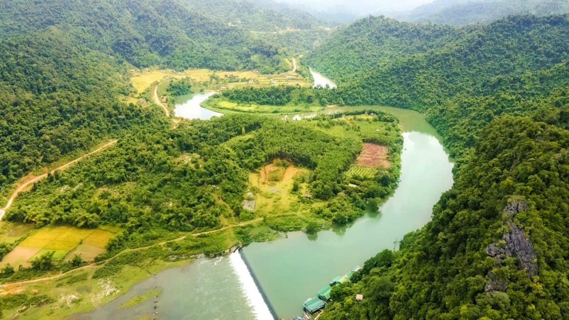 Vùng nguyên liệu tre